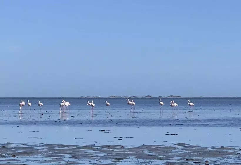 Aamiaismajoitus (B&B) Dar Lola