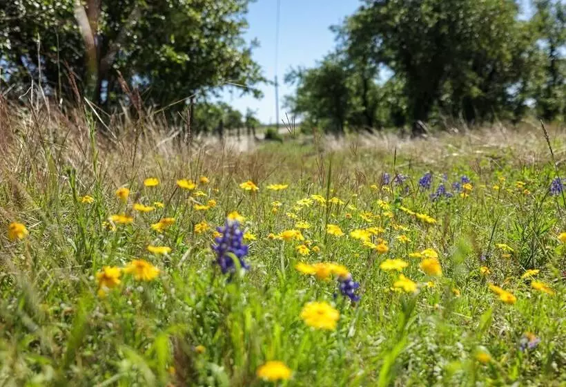 Heilung Haus With Sauna & Cowboy Pool   20 Min To Fred
