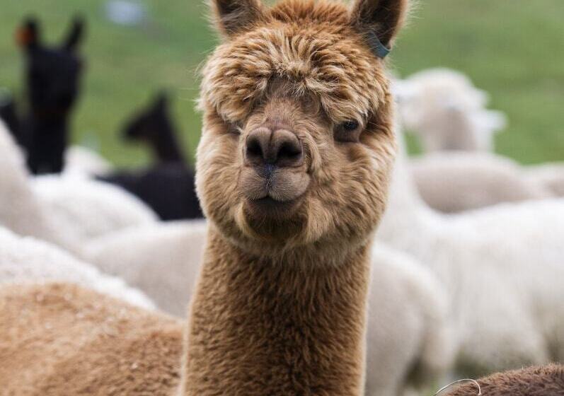 ホテル Marnong Estate