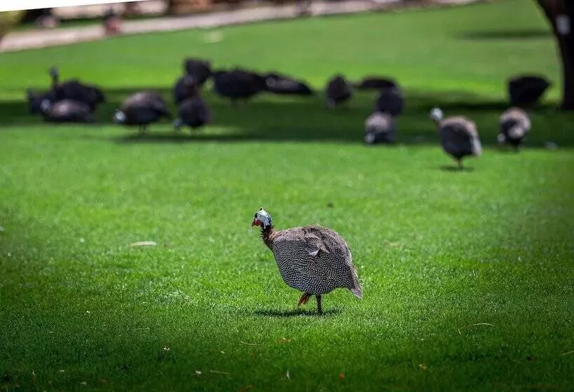 ホテル Nofa Riyadh, A Radisson Collection Resort