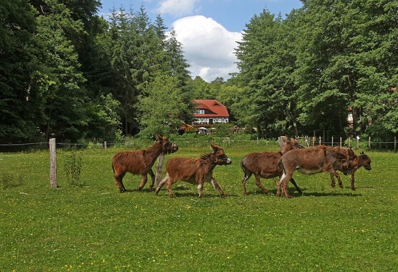 בית מלון כפרי & Restaurant Boltenmühle
