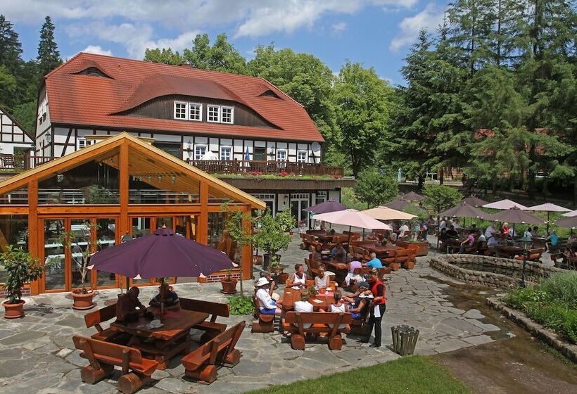 בית מלון כפרי & Restaurant Boltenmühle