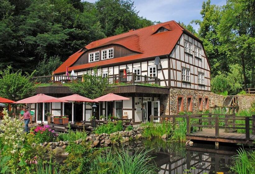 בית מלון כפרי & Restaurant Boltenmühle