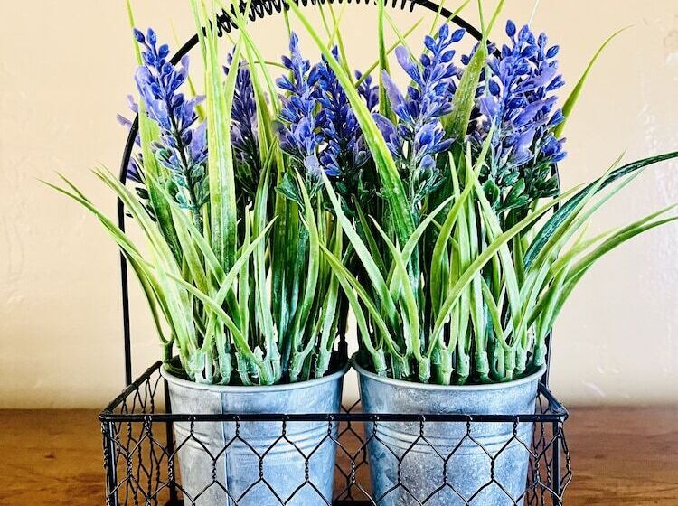 Otel The Lodge At Poncha Springs