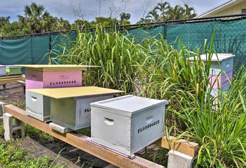 Palm Beach Gardens Apiary Retreat   6 Mi To Beach!