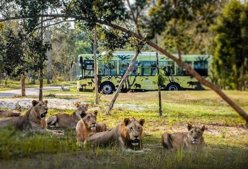 پانسیون Teddy 108 Homestay & Cafe Grand World Phu Quoc