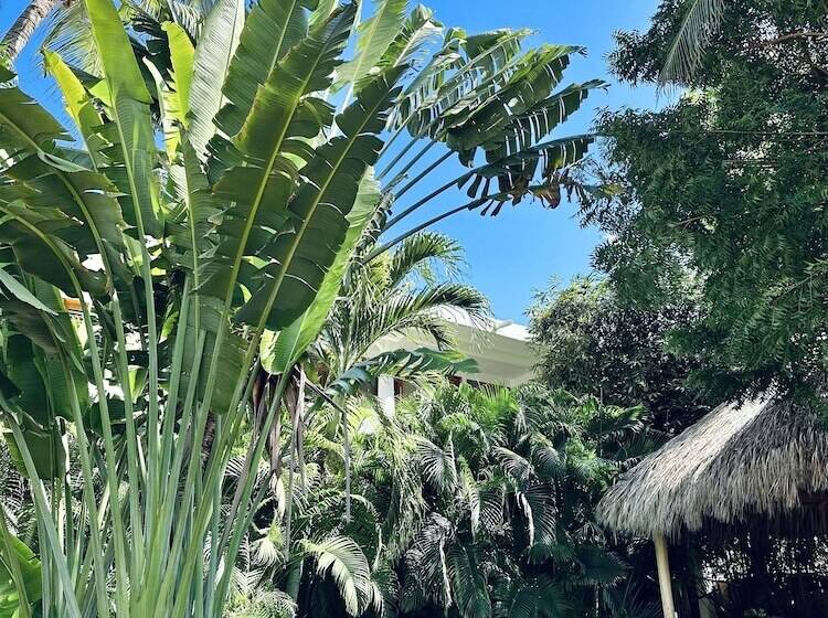 Panzió Valhalla Beach House