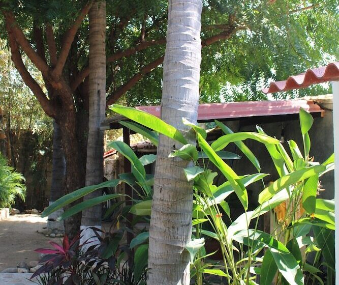 Panzió Valhalla Beach House