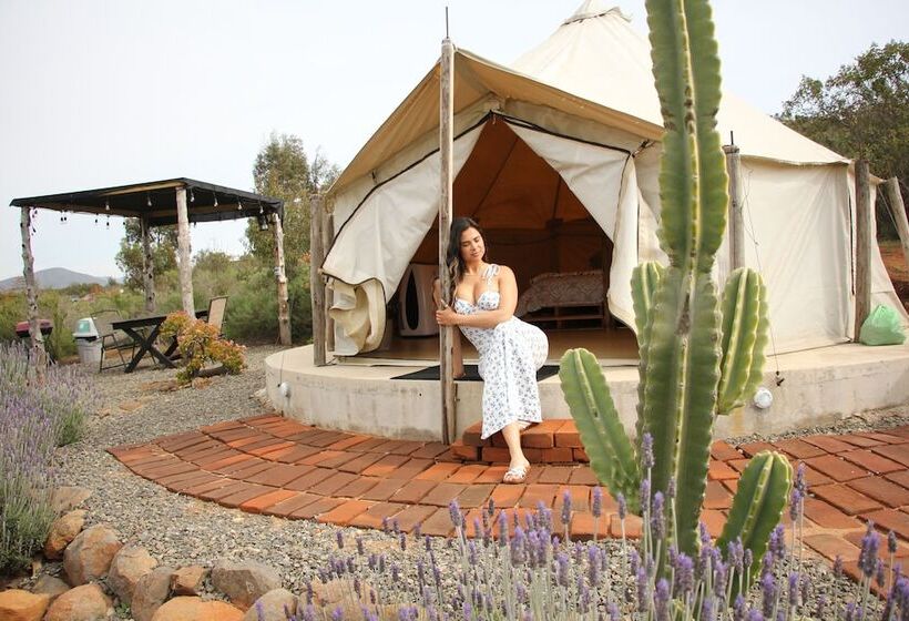 渡假胜地 Ally Glamping