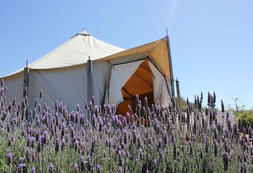 渡假胜地 Ally Glamping