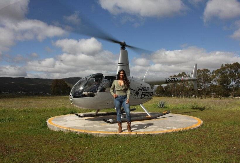 渡假胜地 Ally Glamping