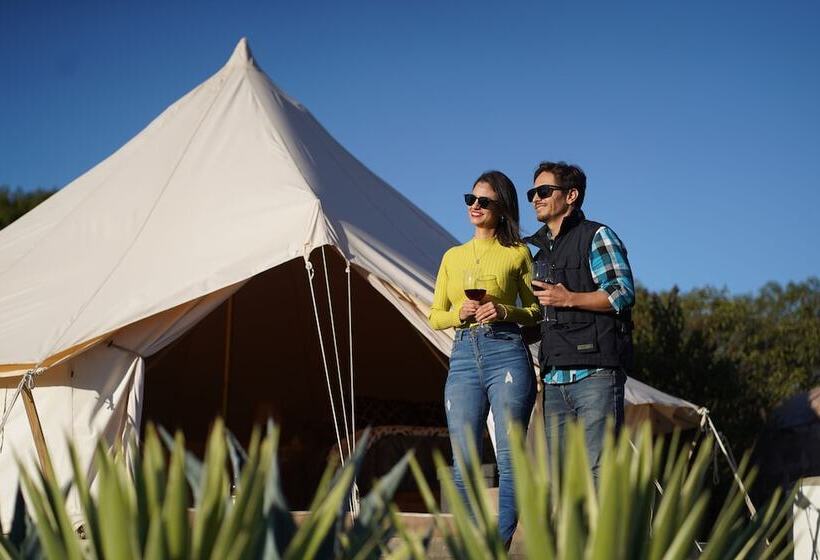 渡假胜地 Ally Glamping