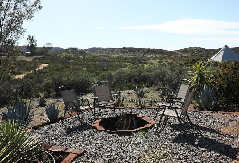 渡假胜地 Ally Glamping