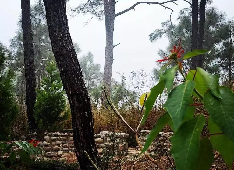 Chillaru Spa & Resort