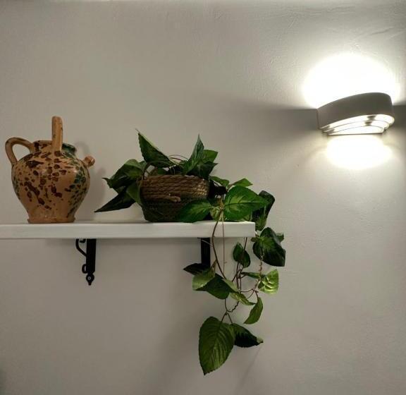 پانسیون Madre Terra