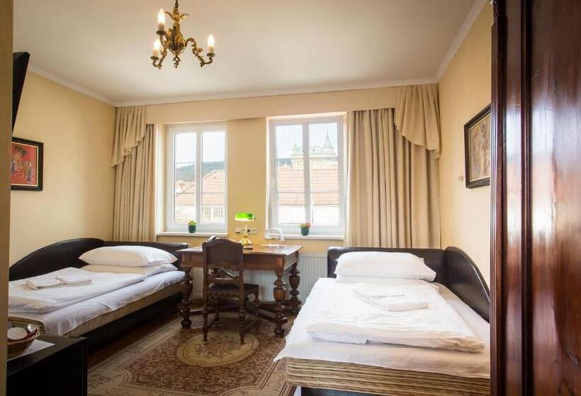 ホテル Bojnicky Vinny Dom