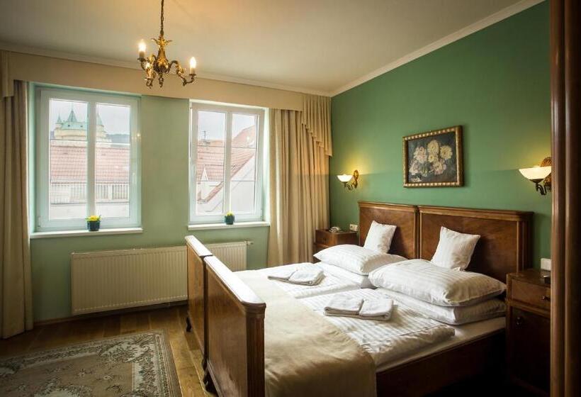 ホテル Bojnicky Vinny Dom