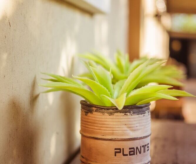 Bushveld Terrace   Hotel On Kruger