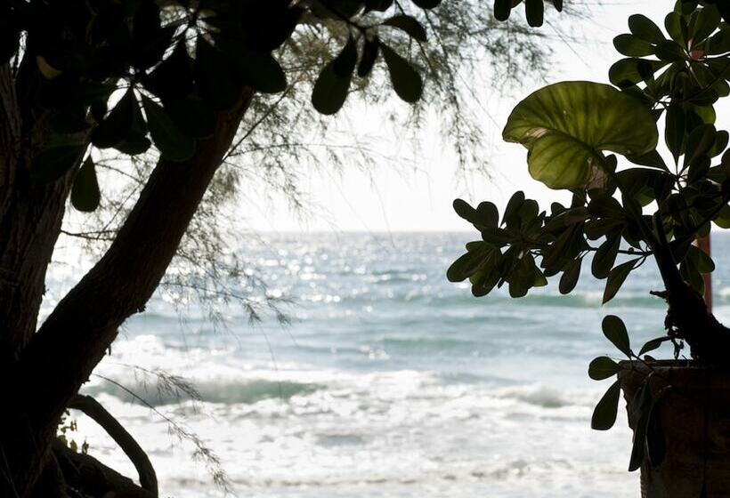 בית מלון כפרי Paradiso Residence