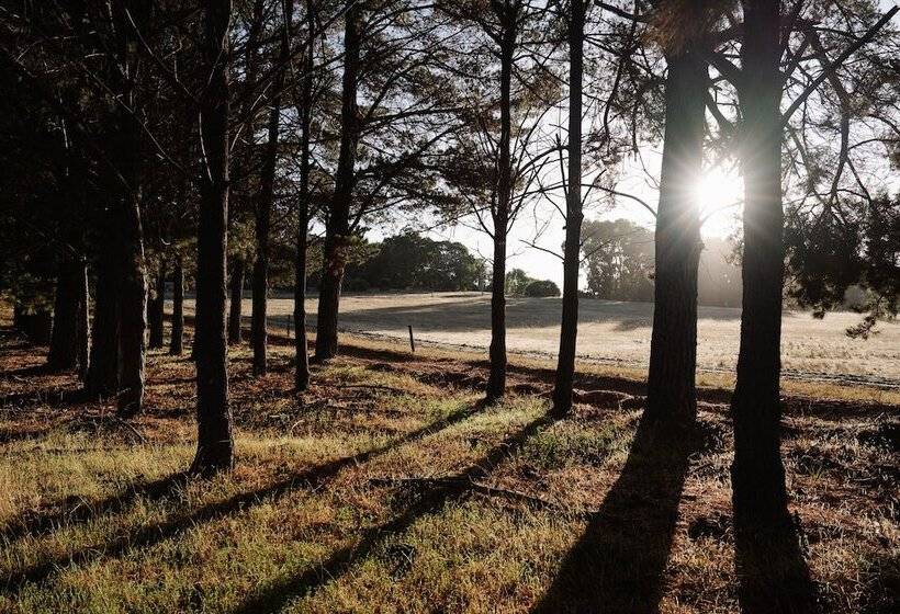 Отель Yallingup Lodge Spa Retreat