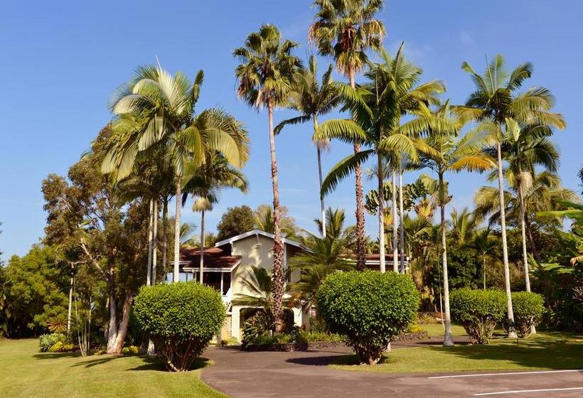 مبيت وإفطار Mermaid Dreams