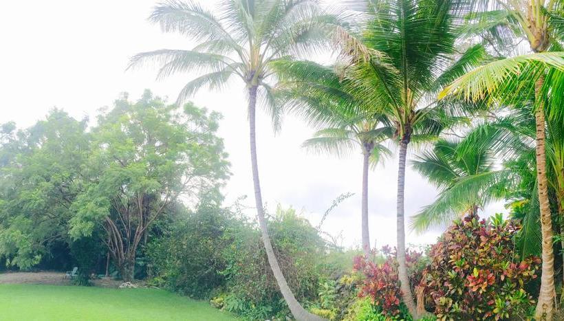 مبيت وإفطار Mermaid Dreams