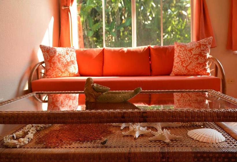 مبيت وإفطار Mermaid Dreams