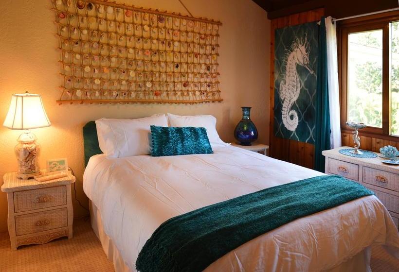 مبيت وإفطار Mermaid Dreams