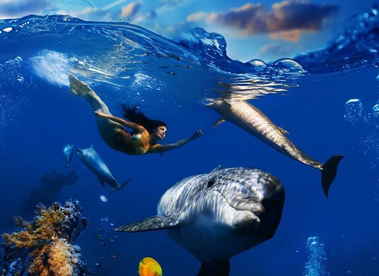 مبيت وإفطار Mermaid Dreams