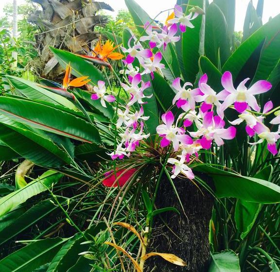 مبيت وإفطار Mermaid Dreams