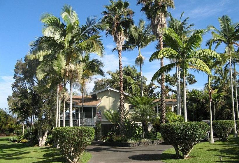 مبيت وإفطار Mermaid Dreams