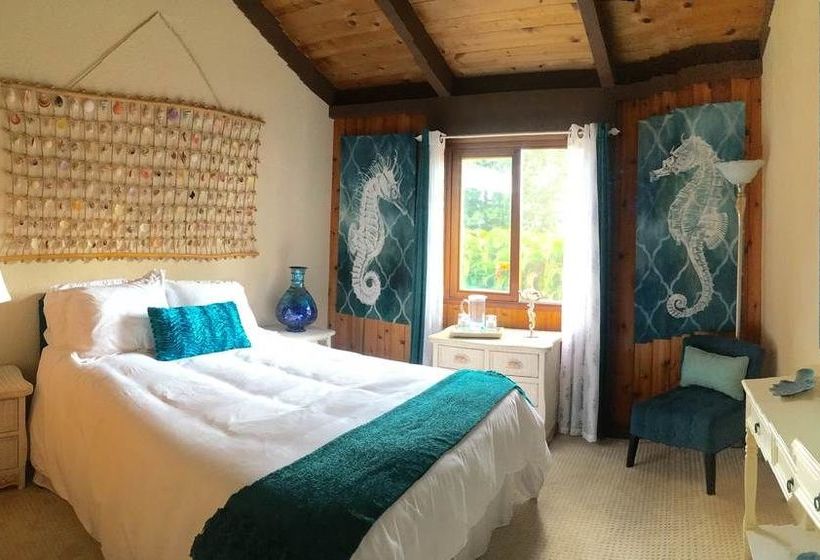 مبيت وإفطار Mermaid Dreams