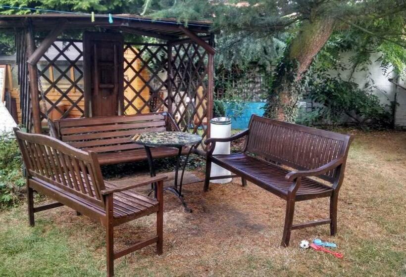 بنسيون Campbells Guest House