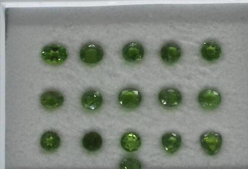 پانسیون Thisal Guest House