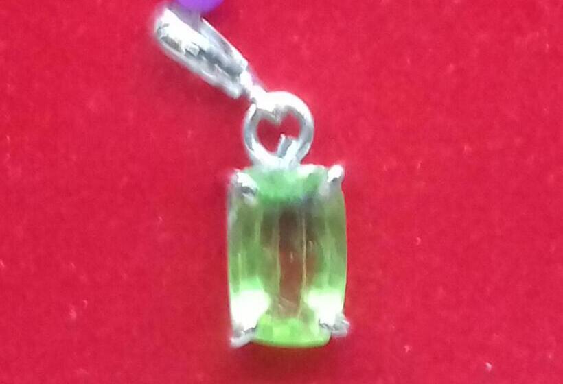 膳宿费 Thisal Guest House