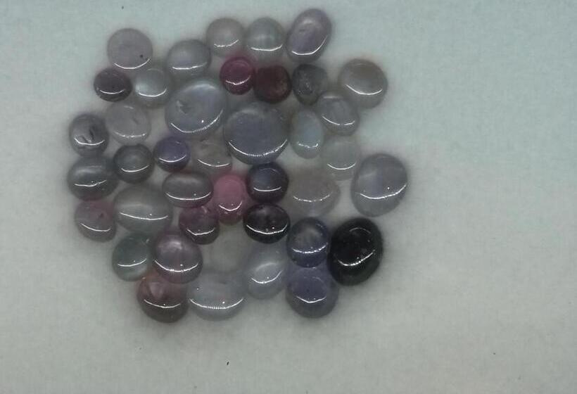 پانسیون Thisal Guest House