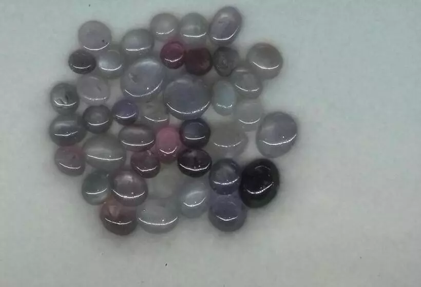 ペンション Thisal Guest House