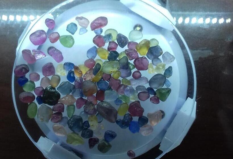 پانسیون Thisal Guest House