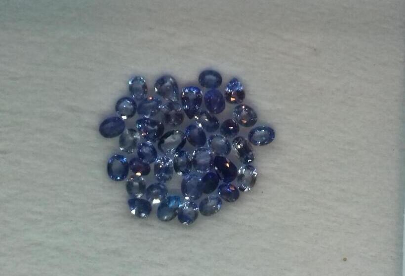 پانسیون Thisal Guest House