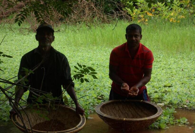 פנסיון Thisal Guest House