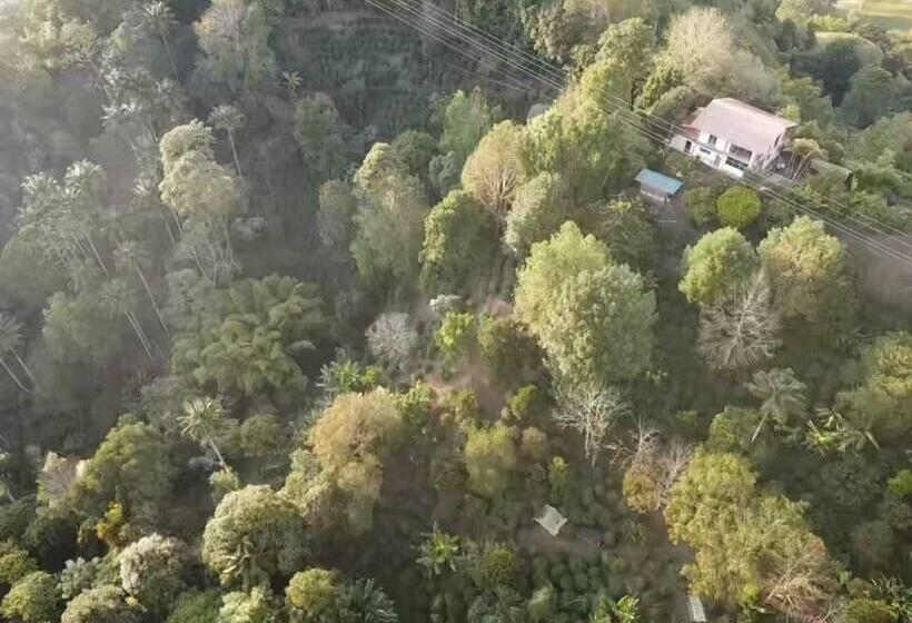 הוסטל Finca Momota Salento