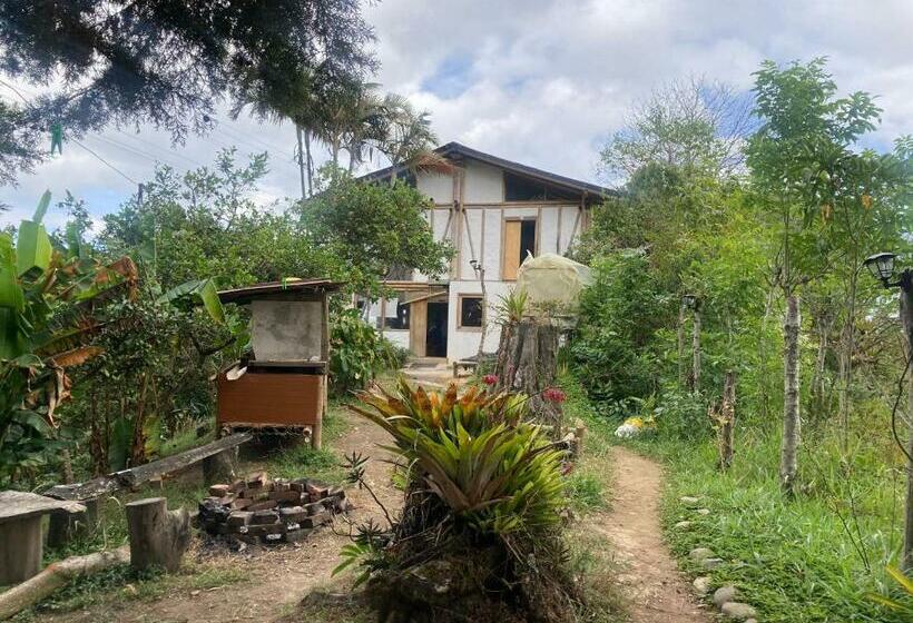 הוסטל Finca Momota Salento