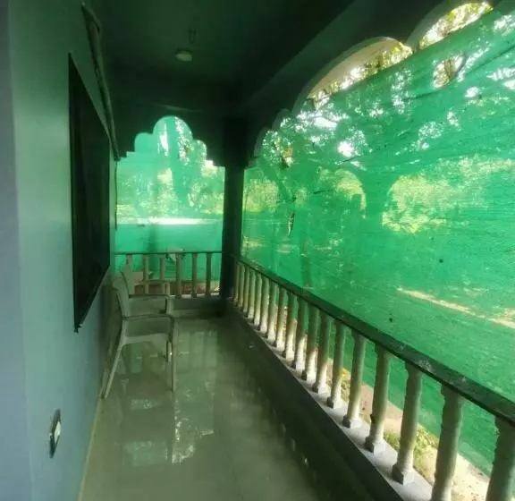 Ostello Ashvem Banyan Tree