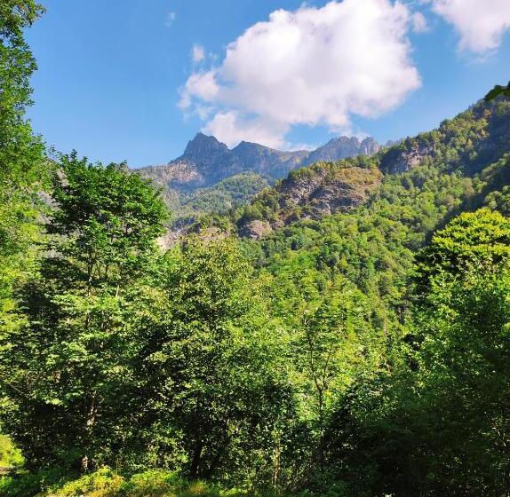 مبيت وإفطار La Casa Del Busso