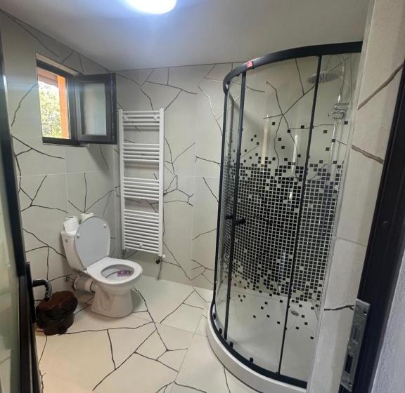 פנסיון Casa Iuliana