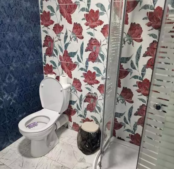 ペンション Casa Iuliana