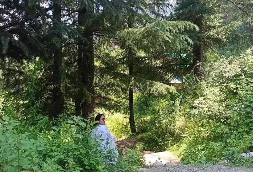 ホテル Royal Galaxy Tirthan