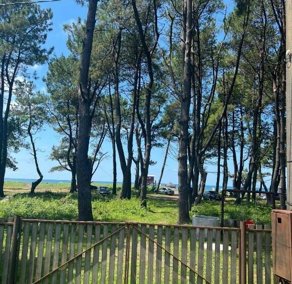 پانسیون Shekvetili Kaprovani Sweet Home