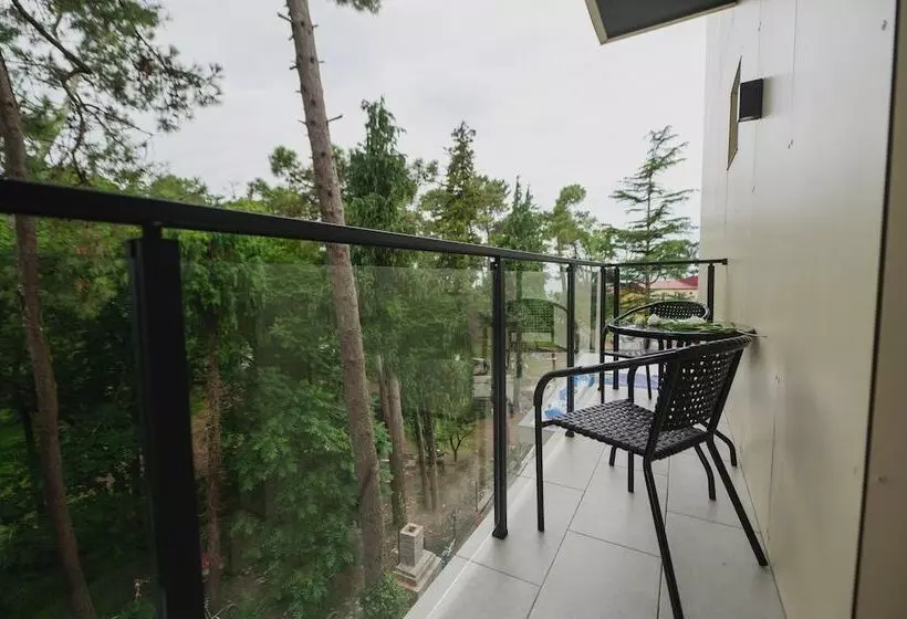 ホテル Ritsa Resort