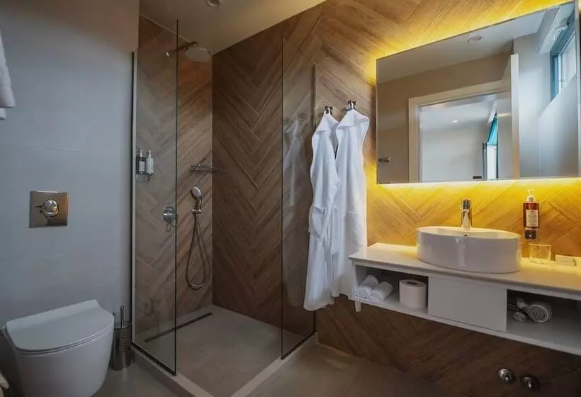 ホテル Ritsa Resort